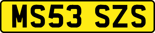 MS53SZS