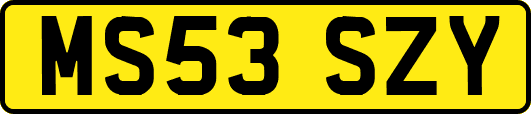 MS53SZY