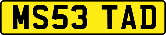 MS53TAD
