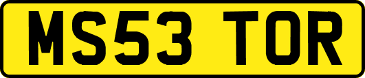 MS53TOR