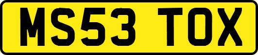 MS53TOX
