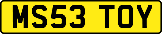 MS53TOY