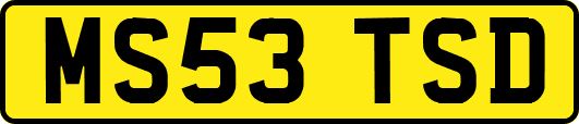 MS53TSD
