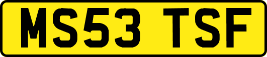 MS53TSF