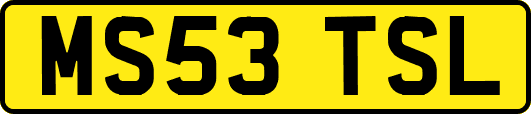 MS53TSL