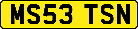 MS53TSN