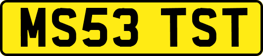 MS53TST