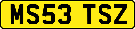 MS53TSZ