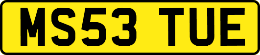 MS53TUE