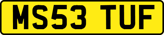 MS53TUF