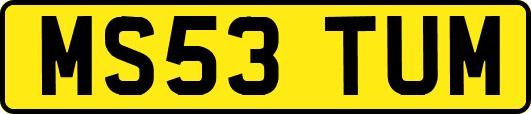 MS53TUM