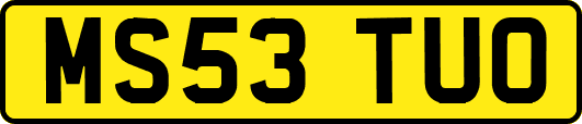 MS53TUO