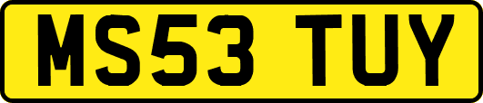 MS53TUY
