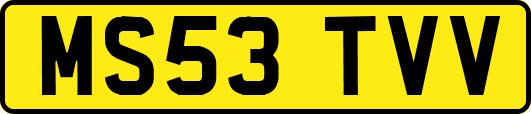 MS53TVV