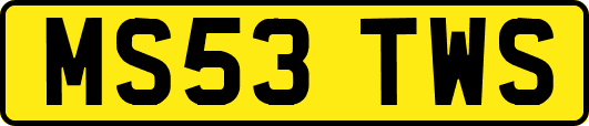 MS53TWS