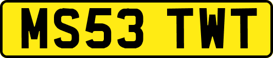 MS53TWT