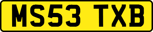 MS53TXB