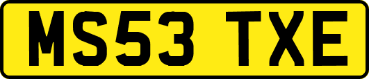 MS53TXE