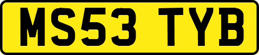 MS53TYB