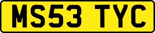 MS53TYC