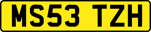 MS53TZH