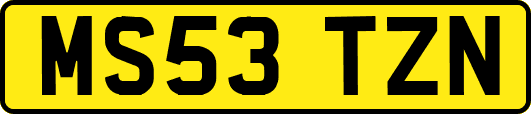 MS53TZN