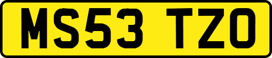 MS53TZO