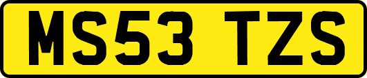 MS53TZS