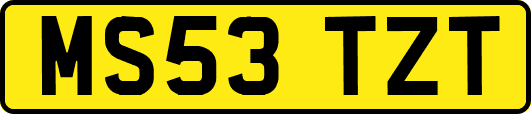 MS53TZT