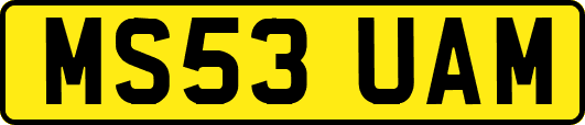 MS53UAM