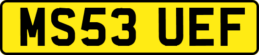 MS53UEF
