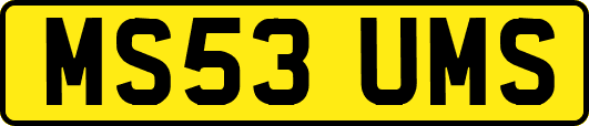 MS53UMS