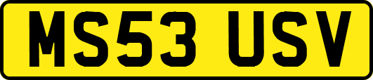 MS53USV