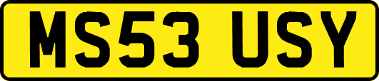 MS53USY