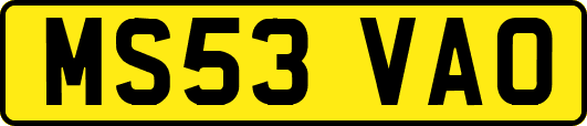 MS53VAO