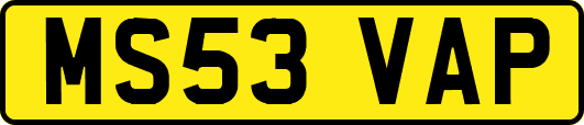 MS53VAP