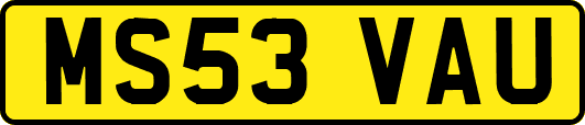 MS53VAU