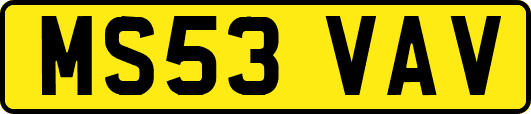 MS53VAV
