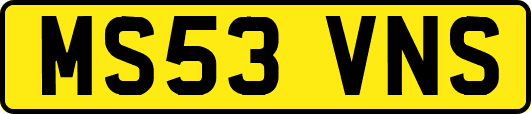 MS53VNS