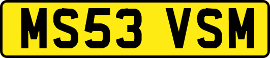MS53VSM