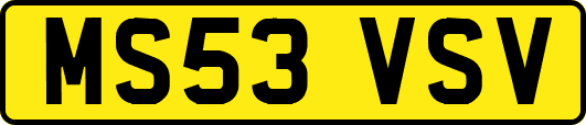 MS53VSV