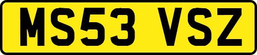 MS53VSZ