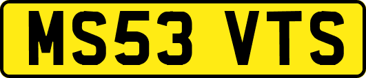 MS53VTS