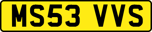 MS53VVS