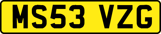 MS53VZG