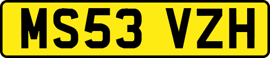MS53VZH