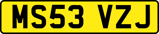 MS53VZJ