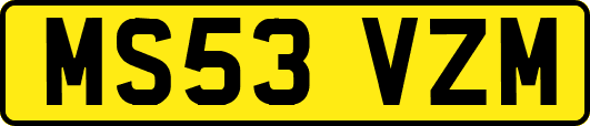 MS53VZM