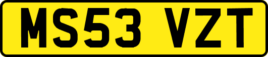 MS53VZT