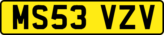 MS53VZV